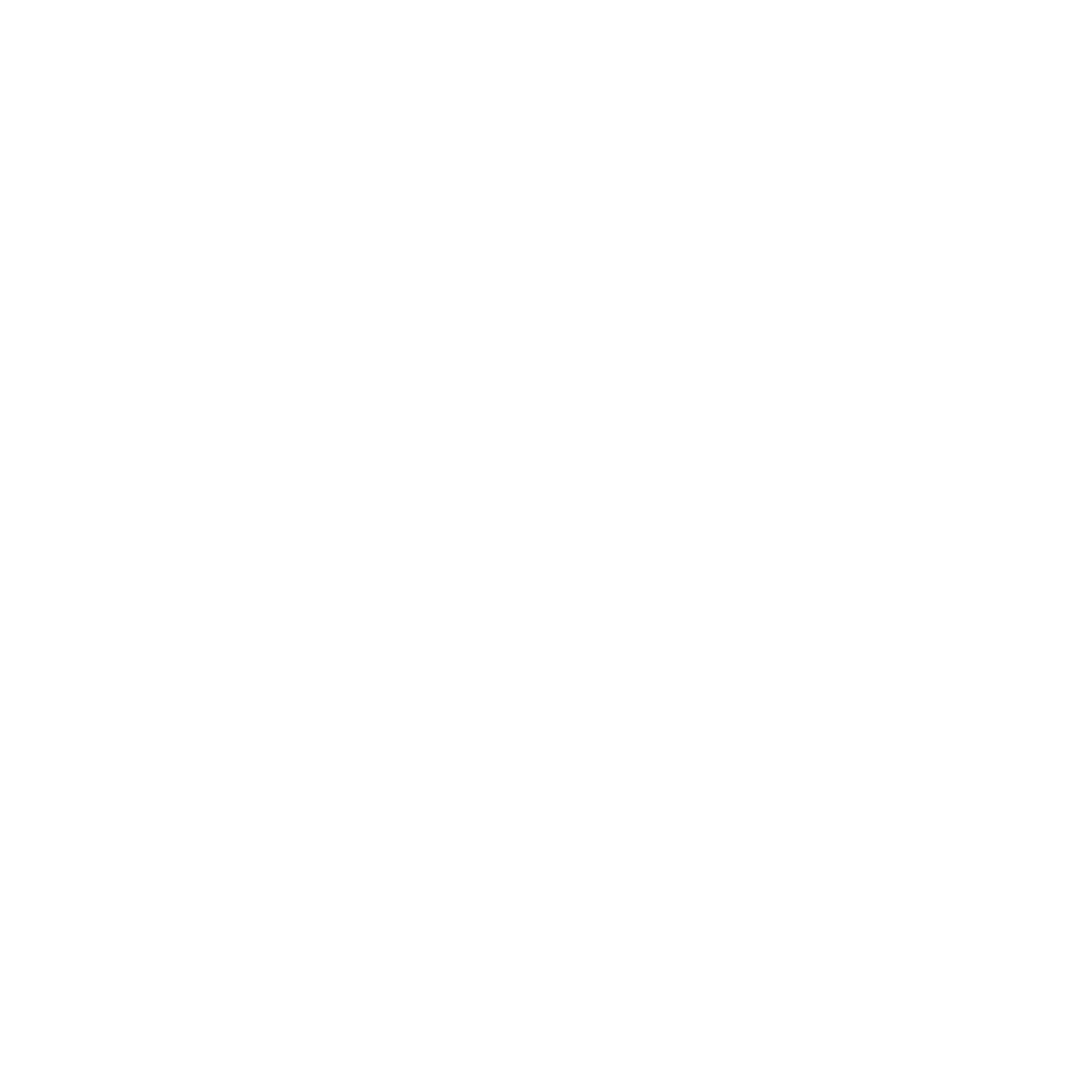 Transparent White logo